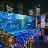 池袋サンシャイン水族館“アフター5”攻略—夜限定演出と混雑回避術｜2026年最新版